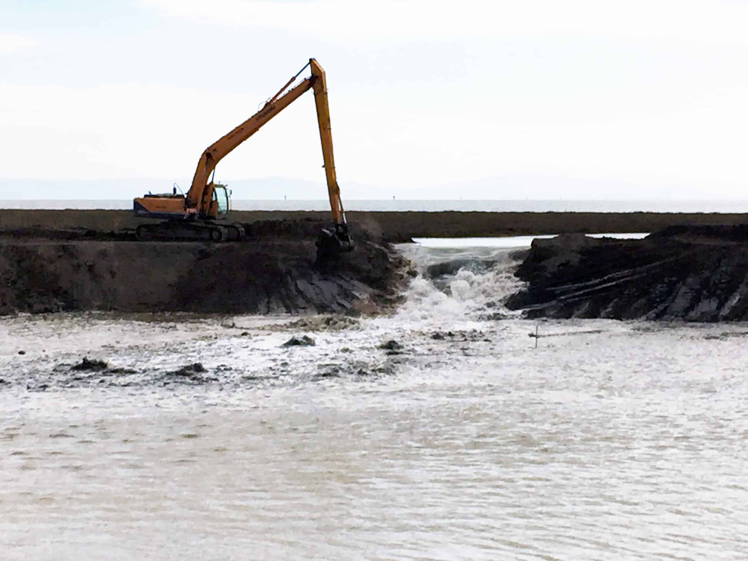 Sears Point Restoration Monitoring - FISHBIO