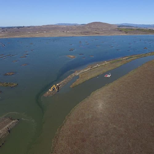 Sears Point Wetlands Restoration