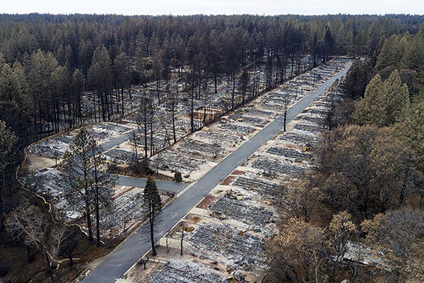 Paradise Camp Fire disaster recovery, Forgen Construction